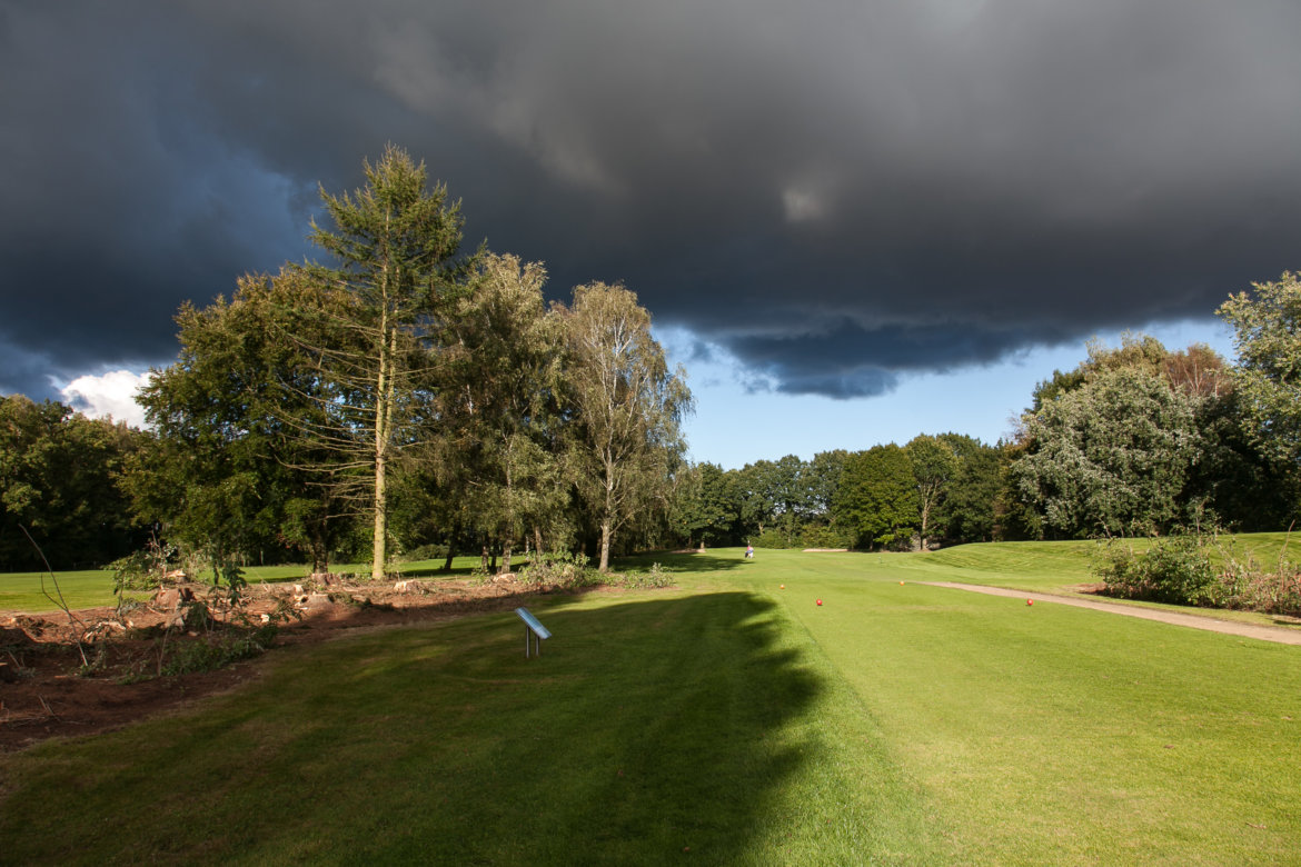 Platz-Fairway-Bäume-Wolken.jpg