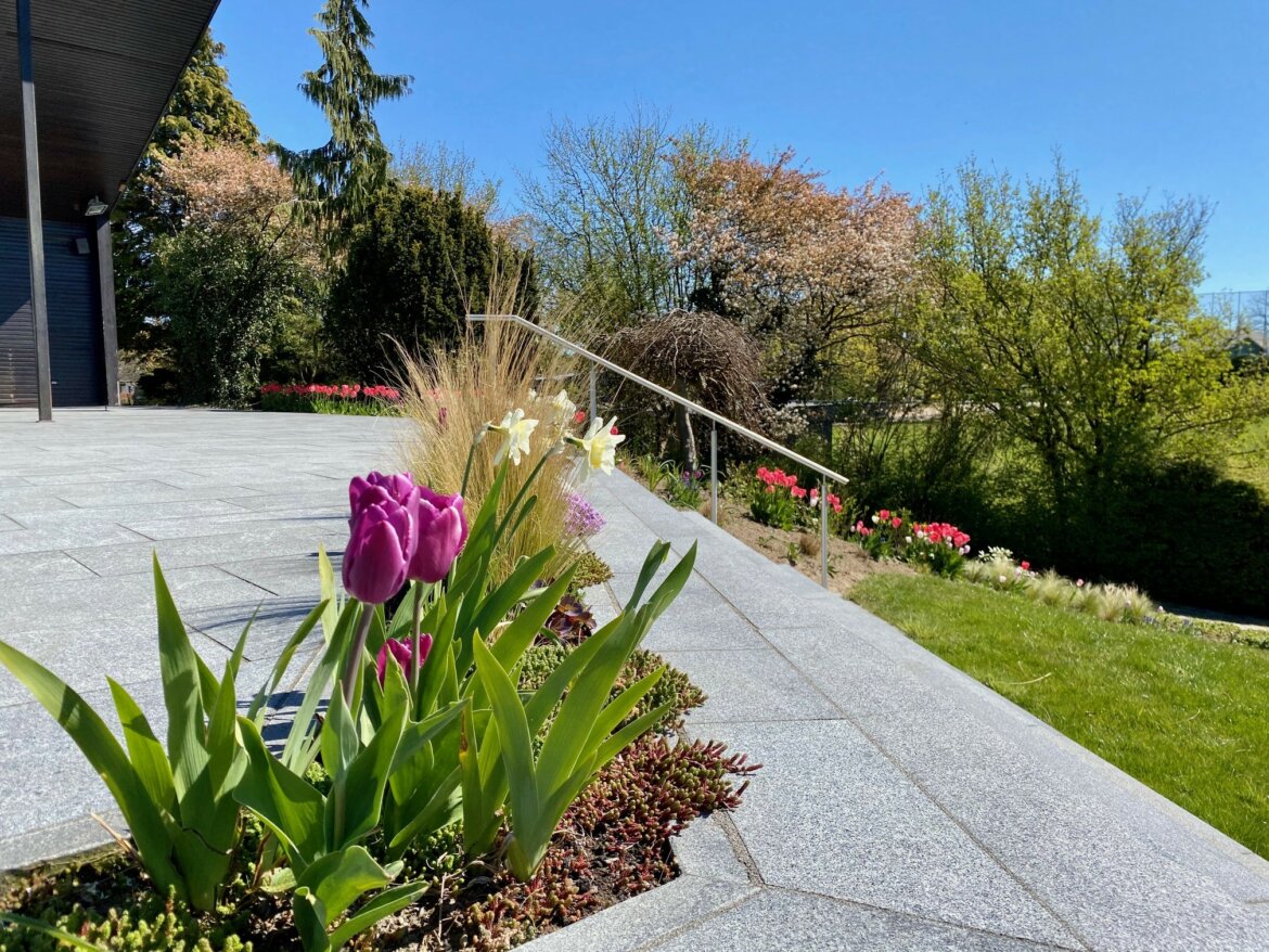 tulpen_terrasse.jpg